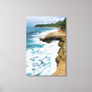 Beach Seaside Cliff Wave Foam Landscape Photo Canvas Print
