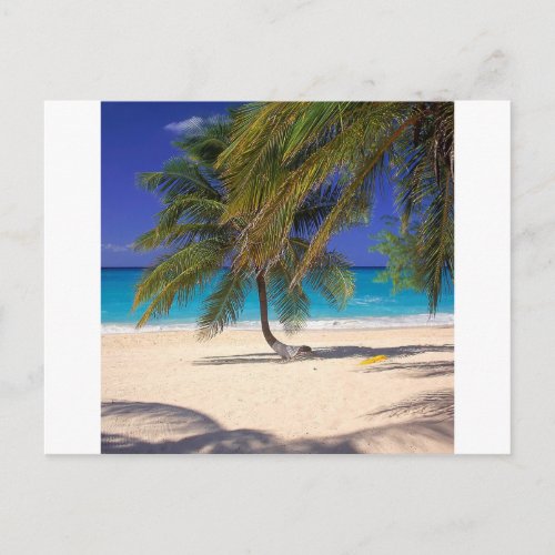 Beach Seven Mile Grand Cayman Postcard