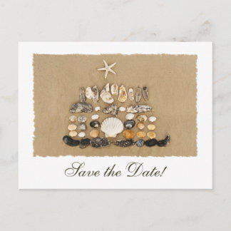 Beach Shell Cake Save the Date Announcement Postcard