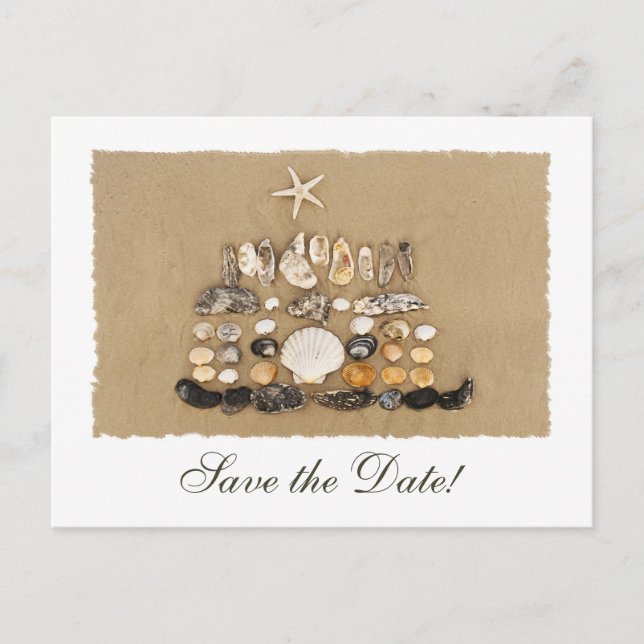 Beach Shell Cake Save the Date Announcement Postcard (Front)