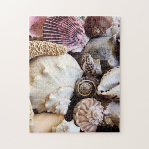 Beach Shell Collection Photography Jigsaw Puzzle