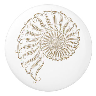 Beach Shell Drawer Knobs