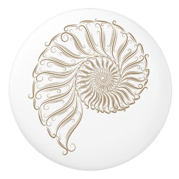 Beach Shell Drawer Knobs by sharonrhea at Zazzle