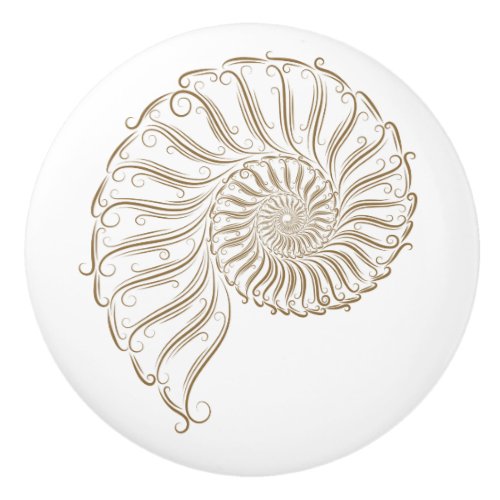 Beach Shell Drawer Knobs