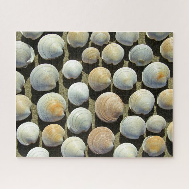BEACH SHELLS 16x20 INCH Jigsaw Puzzle (Horizontal)