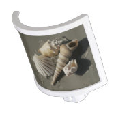 Beach Shells Night Light (Angled)