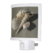 Beach Shells Night Light (Left)