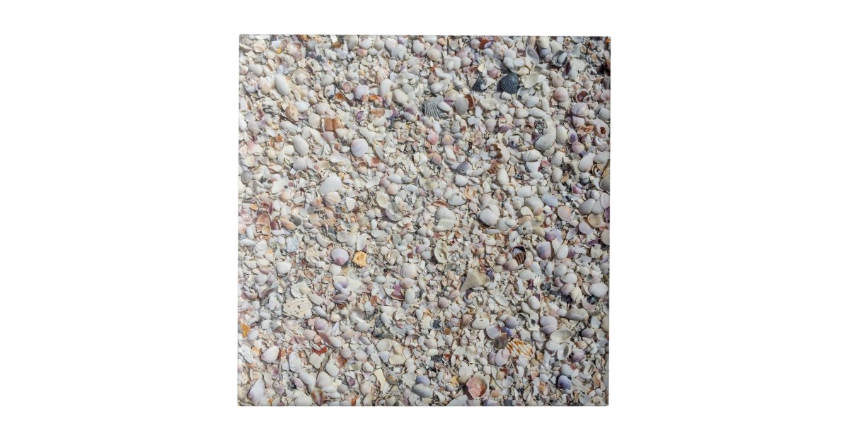 Beach Shells Sea Shell Background Ocean Texture Ceramic Tile | Zazzle