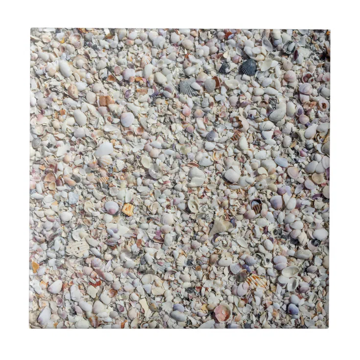 Beach Shells Sea Shell Background Ocean Texture Ceramic Tile | Zazzle