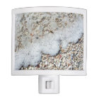 Beach Shells Sea Shell Background Ocean Texture