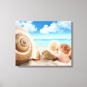 Beach Shells Wrapped Canvas Print