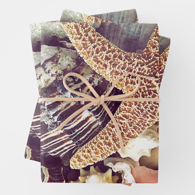 Beach Shells Wrapping Paper Sheets (In situ)