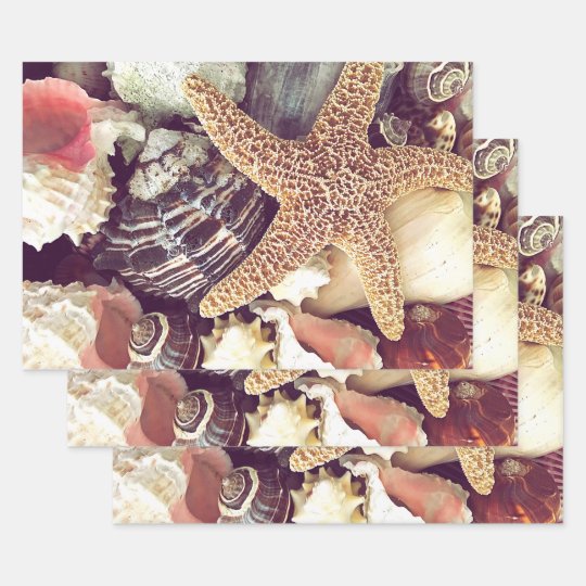 Beach Shells Wrapping Paper Sheets | Zazzle.com