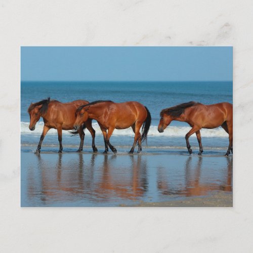 Beach Sisters Postcard