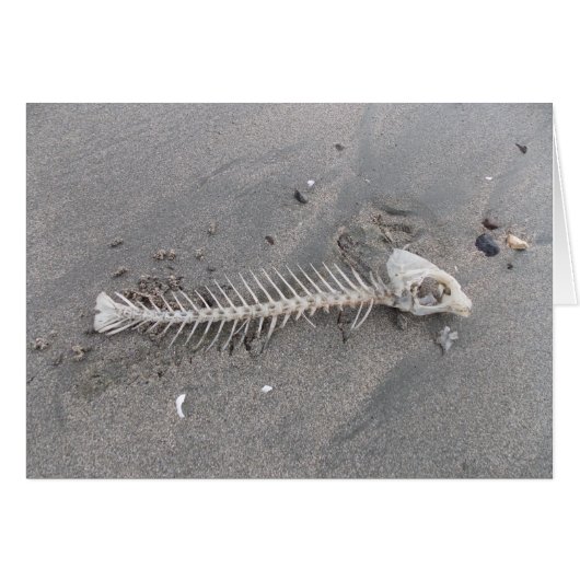Beach Skeleton Cards (Front Horizontal)