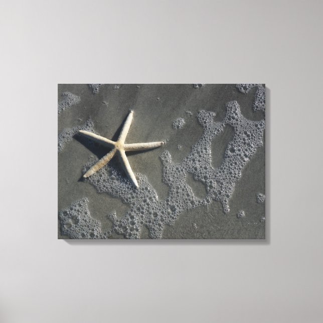 Beach Starfish Canvas Print (Front)