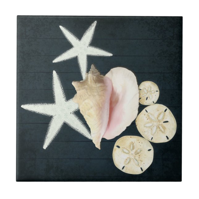 Beach Starfish Sanddollar Conch Shells Navy Wood Ceramic Tile (Front)