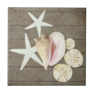 Beach Starfish Sanddollar Conch Shells Rustic Wood Ceramic Tile