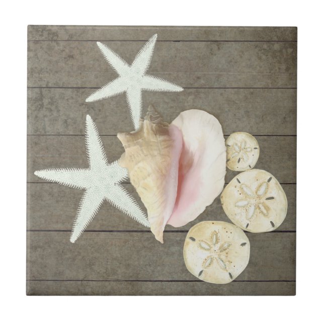 Beach Starfish Sanddollar Conch Shells Rustic Wood Ceramic Tile (Front)