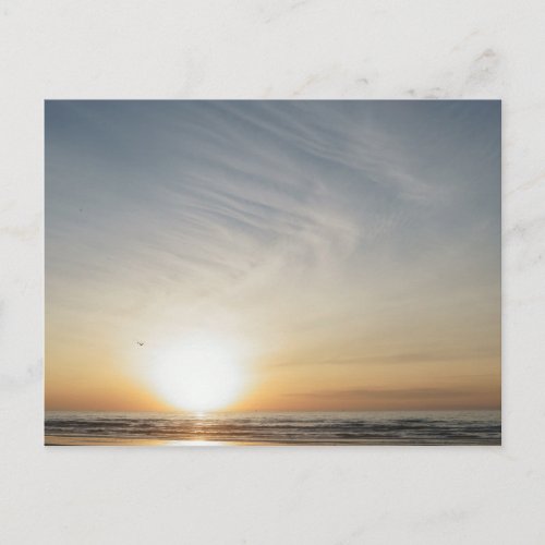 Beach Sunrise Celebration Blank Invitation Postcard