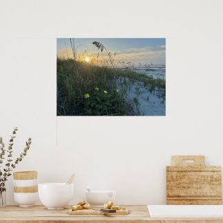 Beach Sunrise Over Dunes Poster