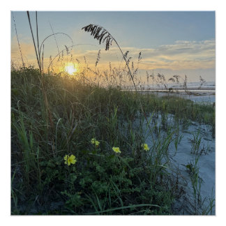 Beach Sunrise Over Dunes Poster