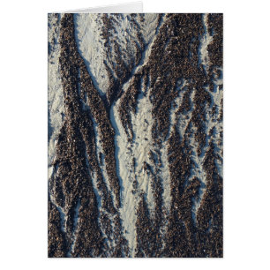 beach textures with seaweed cards