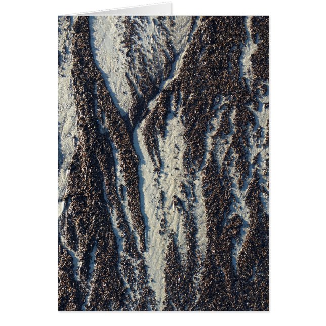 beach textures with seaweed cards (Front)