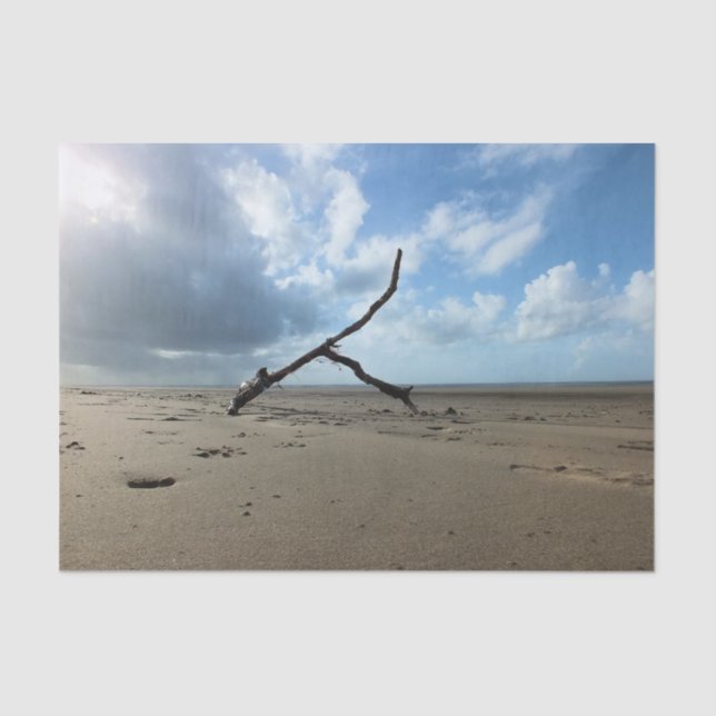 BEACH    TISSUE PAPER (Front)