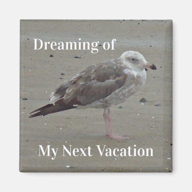 Beach Travel Painted Gray Seagull Coastal Bird Magnet (Front)