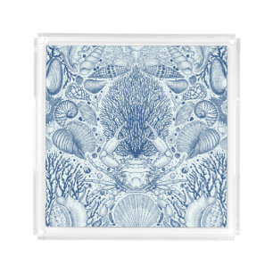 Beach treasures in blue acrylic tray