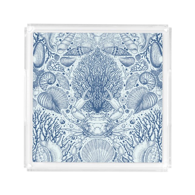 Beach treasures in blue acrylic tray (Front)