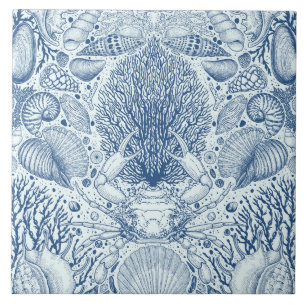 Beach treasures in blue ceramic tile