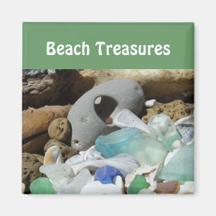 Beach Treasures magnets Sea Glass seaglass Fossils