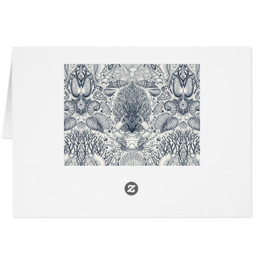 Beach treasures, seashells, crab, corals and seawe (Back Horizontal)