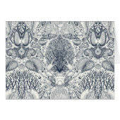 Beach treasures, seashells, crab, corals and seawe (Front Horizontal)