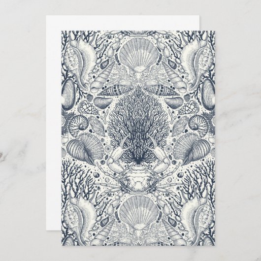 Beach treasures, seashells, crab, corals and seawe (Front/Back)