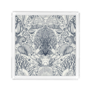 Beach treasures, seashells, crab, corals and seawe acrylic tray