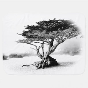 BEACH TREE Baby Blanket