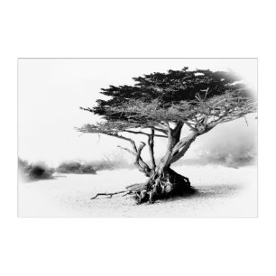 BEACH TREE Large Acrylic Wall Art