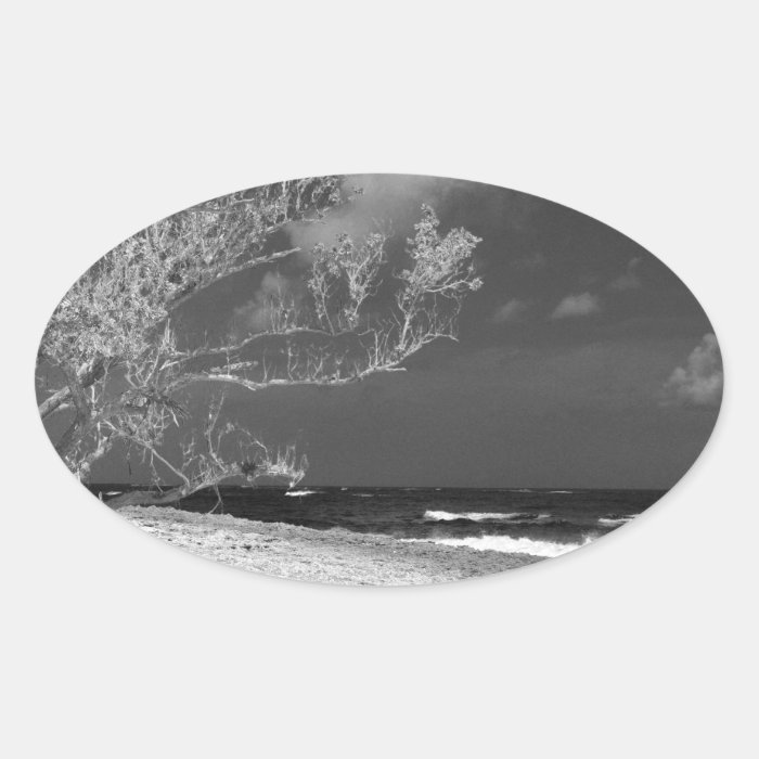 Beach tree oval stickers