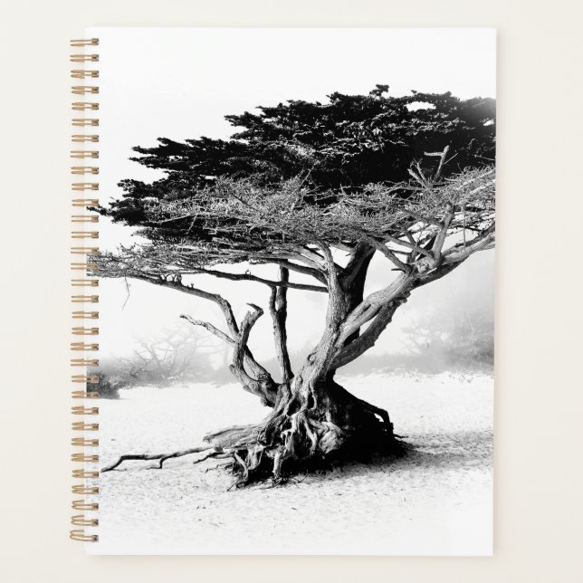 BEACH TREE Planner (Front)