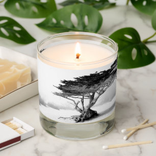 BEACH TREE Scented Jar Candle