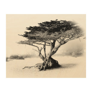 BEACH TREE Wood Wall Art