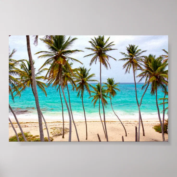 Beach Tropical with Palm Trees Poster | Zazzle