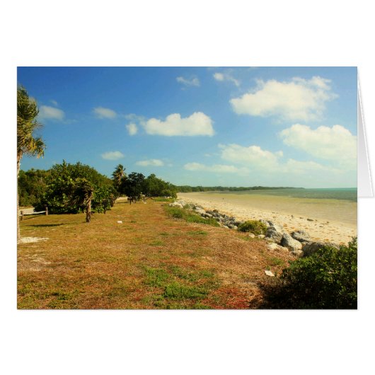 Beach View at Long Peak State Park, Florida Cards (Front Horizontal)