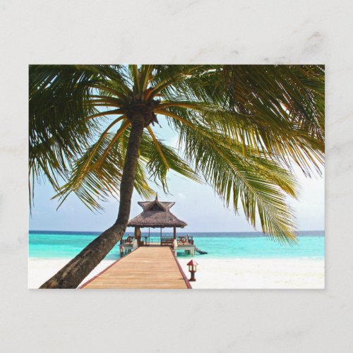 Beach Walk Cabana Palm Tree Maldives Postcard