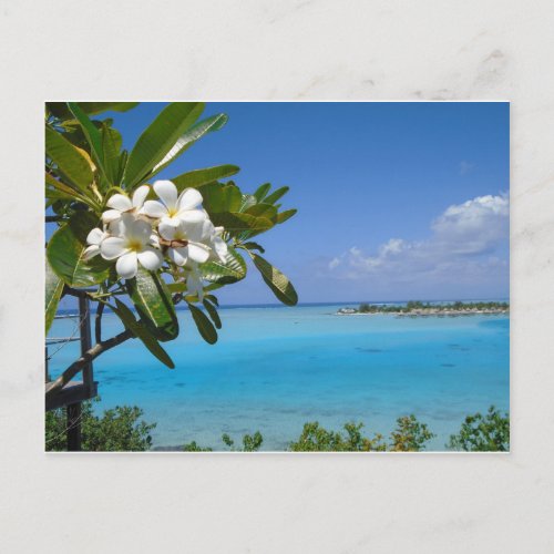 Beach Wedding Ocean Tahiti Flowers Postcard