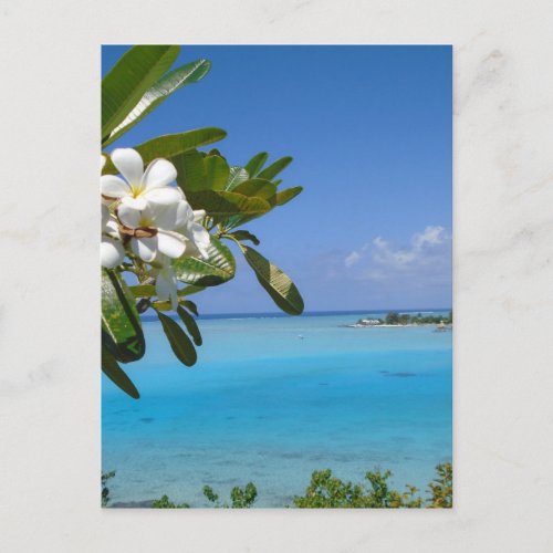 Beach Wedding Ocean Tahiti Flowers Postcard