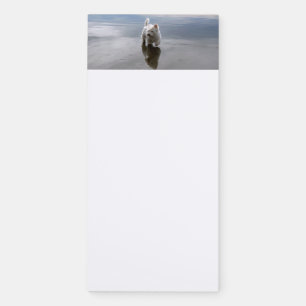 Beach Westie Reflection Photo Magnetic Notepad